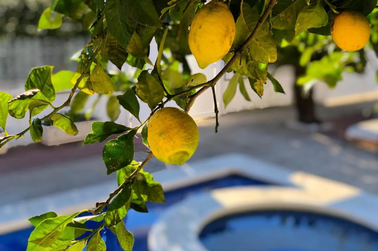 Arenda Pino Alto Villa Lemon Miami Playa